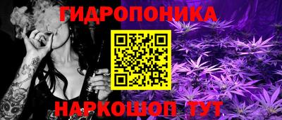 ПСИЛОЦИБИНОВЫЕ ГРИБЫ Кулебаки