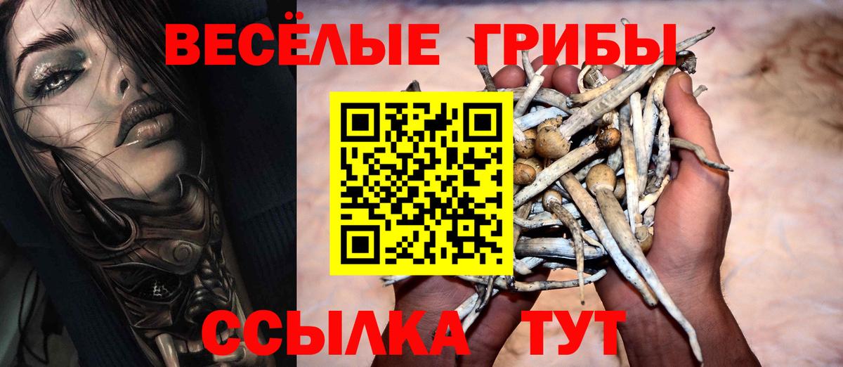 Елабуга  Псилоцибиновые грибы Psilocybe  Вход с VPN 