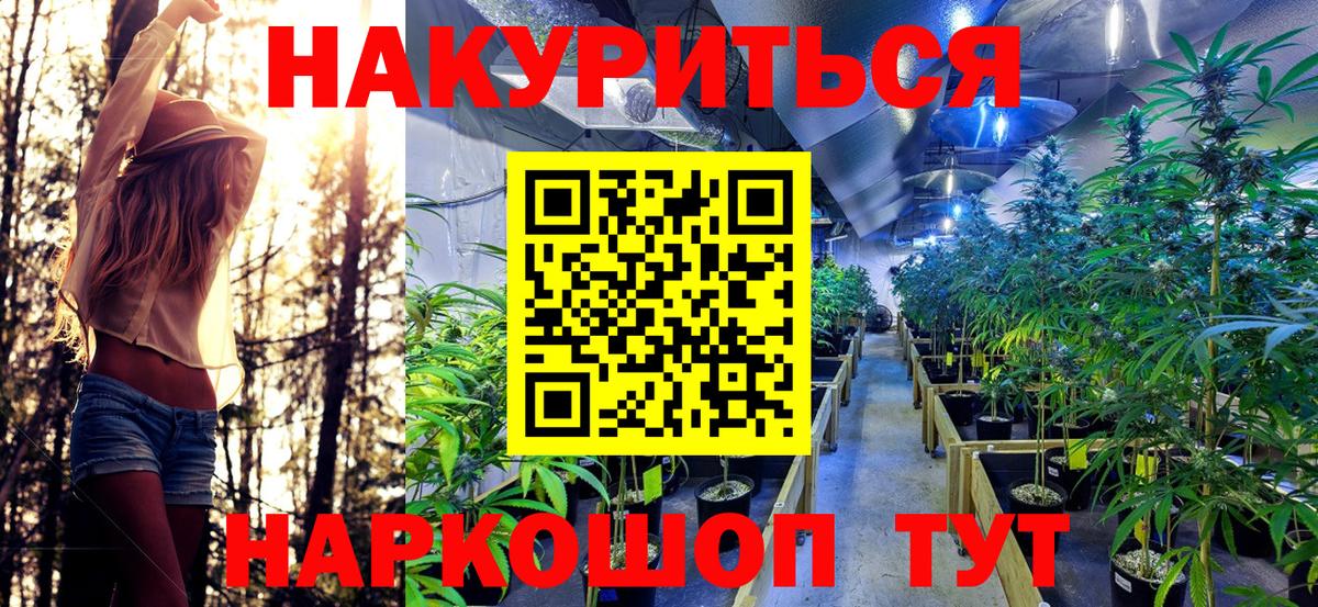 Каннабис индика Елабуга